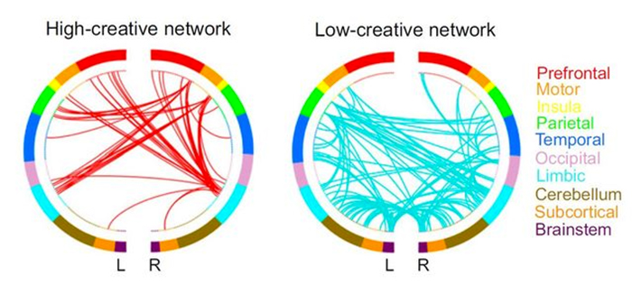 Depictions of the high- and low-creative networks. 