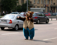 Beren op de weg in Moskou