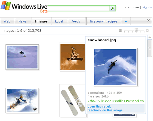 Windows Live Image Search - voorbeeld hover