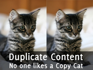 Duplicate Content - Canonical Tag