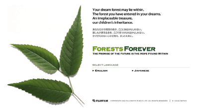 Forest Forever