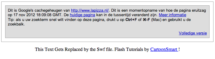 Afbeelding 12: Google cache laat zien dat de tekst in Flash niet indexeerbaar is